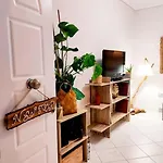 Nestor Apartment-near Historical Centre شقة